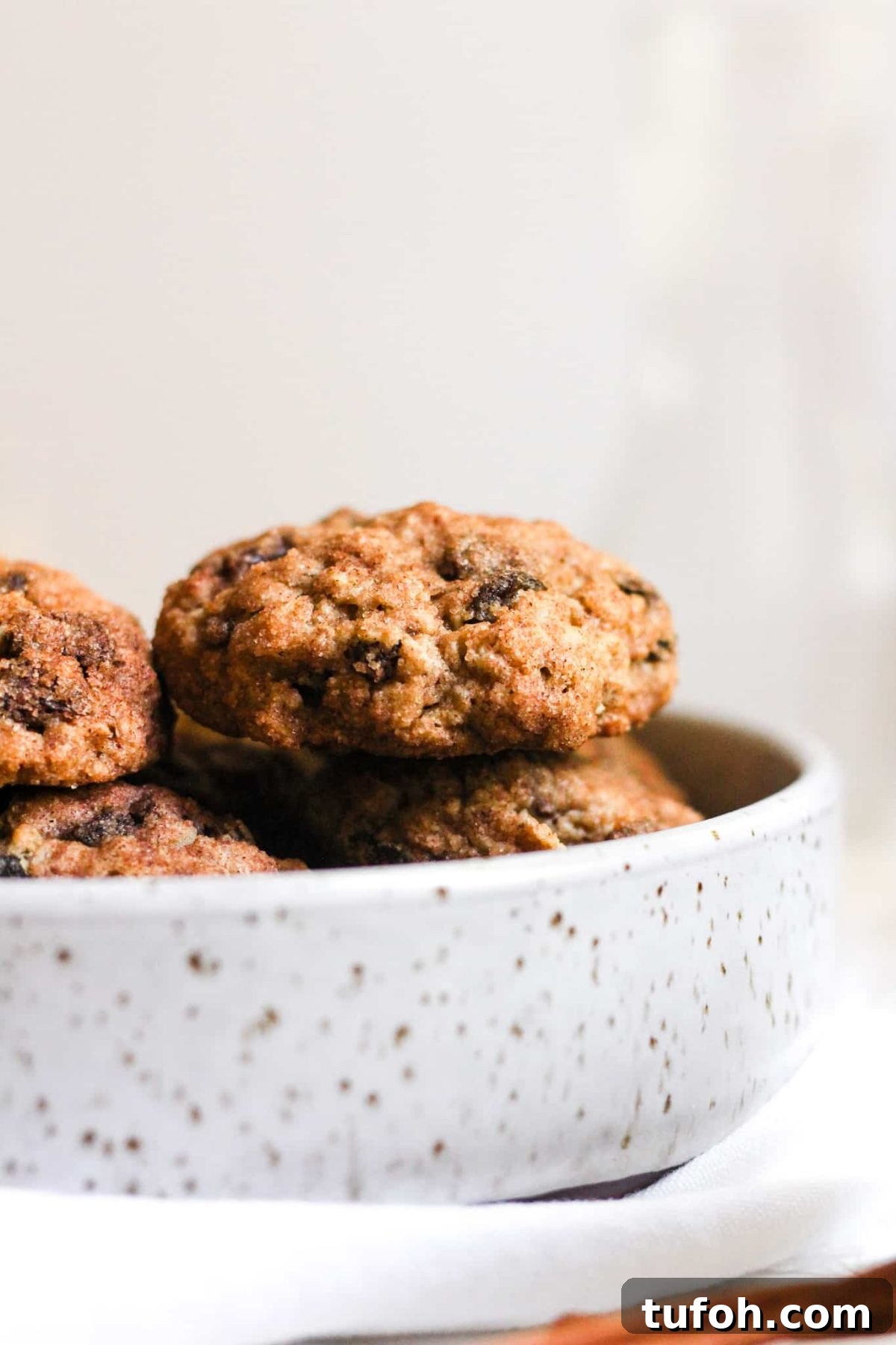 Pottery Bowl of Healthy Cookies with Dried Fruit, Oats, Cinnamon and Sugar for Food Blog