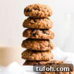 Stack of Healthy Cookies with Raisins, Oats, Cinnamon and Sugar for Food Blog