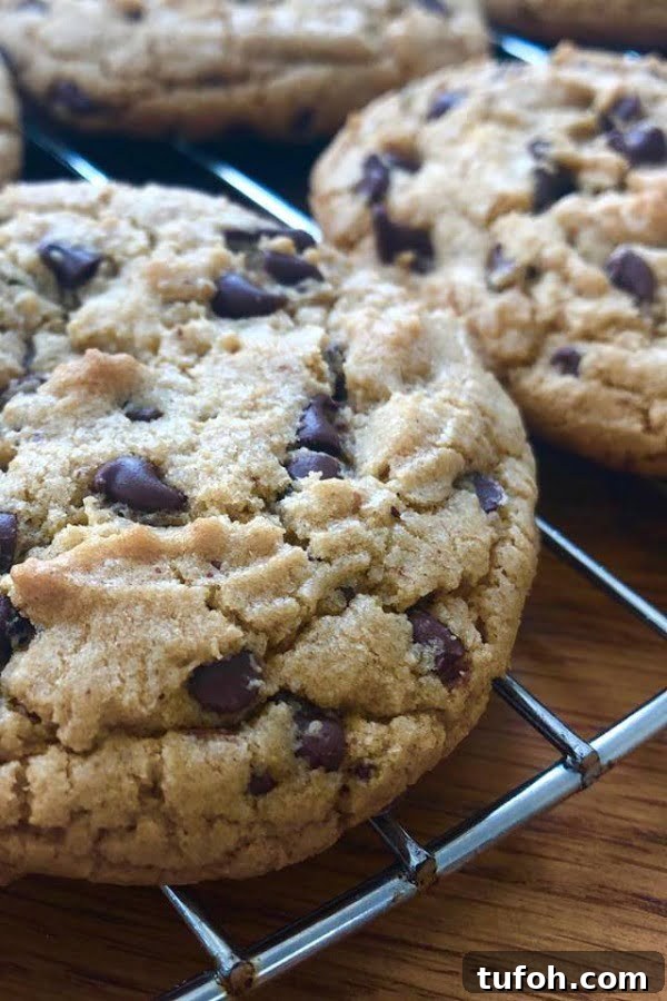 Almond Butter Chocolate Chip Cookies — Crispy and Chewy 2 jumbo almond butter chocolate chip cookeis