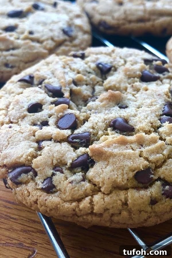 Almond Butter Chocolate Chip Cookies — Crispy and Chewy 3 a large cookie made with almond butter and mini chocolate chips