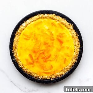 Zesty Orange Pie Recipe: Moist Citrus Tart with Fresh Orange Zest 11 Orange pie with saltine crust and topped with orange marmalade glaze.