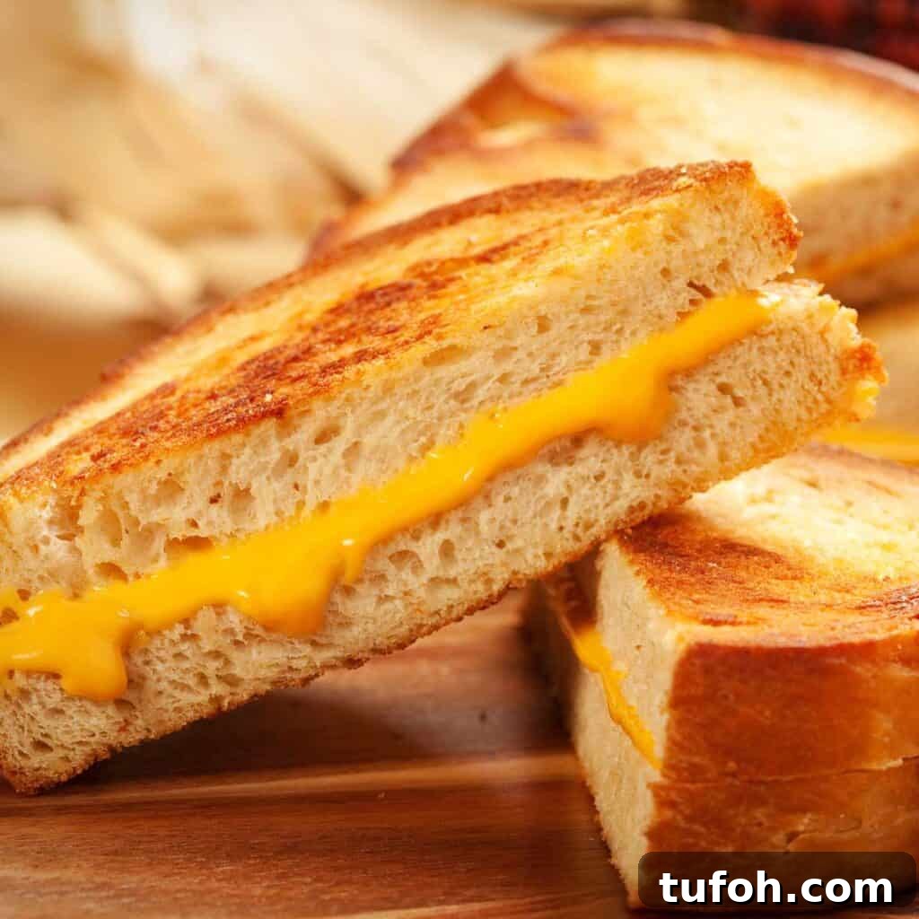 What to Serve with Grilled Cheese: 17 Delicious Side Dishes 2 grilled cheese sandwich cut in half
