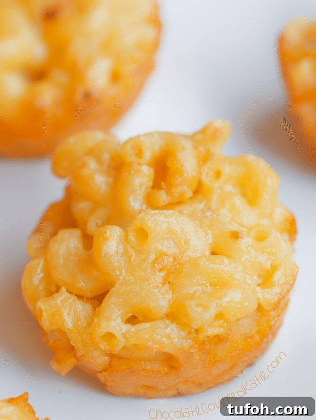 Mac & Cheese To Go