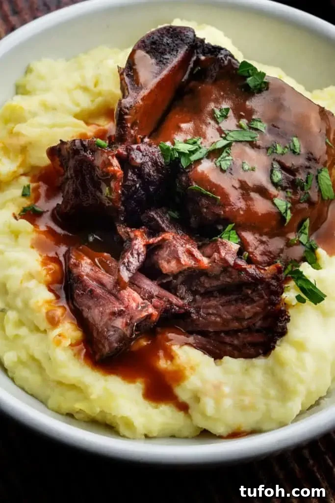 red wine short ribs