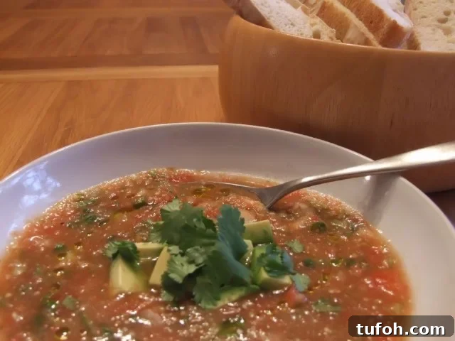 Mexican Gazpacho