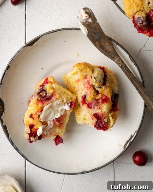 cranberry orange muffins cranberry orange muffins