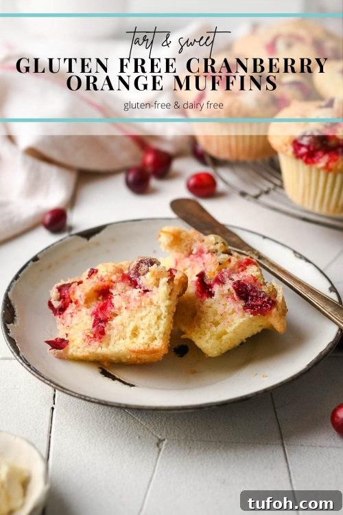 gluten free cranberry orange muffins gluten free cranberry orange muffins