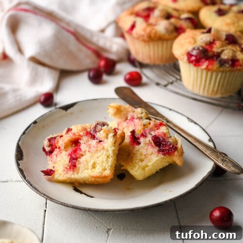 gluten free cranberry orange muffins