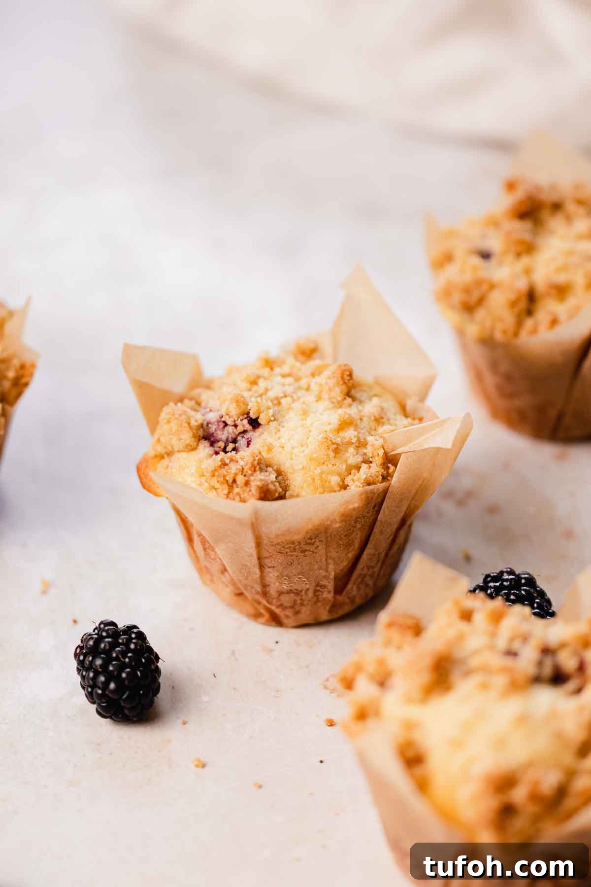 Irresistible Blackberry Muffin Recipe for Perfect Homemade Muffins 3 closeup of blackberry muffin with crumble
