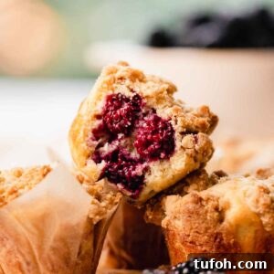 Irresistible Blackberry Muffin Recipe for Perfect Homemade Muffins 16 bitten buttermilk muffin studded with blackberries