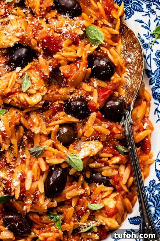 Slow Cooker Greek Chicken with Lemon-Orzo Recipe 3 Close up on Greek orzo and chicken with olives