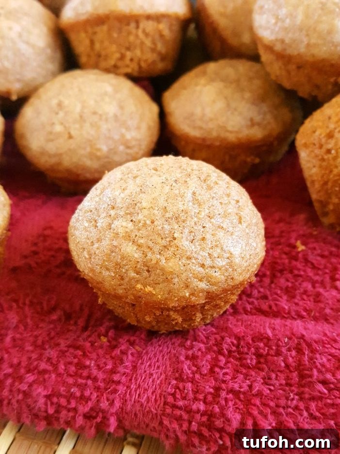 Toddler-Friendly Mini Applesauce Muffins Recipe 2 Mini Healthy Applesauce Muffins (Toddler-Friendly) - Quick & easy to make. Made with oil, brown sugar, cinnamon, honey or maple syrup, and whole wheat flour. A healthy, clean eating breakfast or snack for kids, toddlers, and baby!