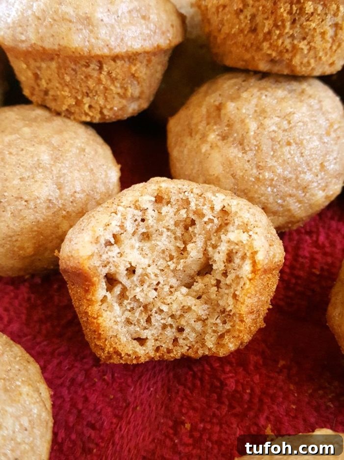 Toddler-Friendly Mini Applesauce Muffins Recipe 3 Mini Healthy Applesauce Muffins (Toddler-Friendly) - Quick & easy to make. Made with oil, brown sugar, cinnamon, honey or maple syrup, and whole wheat flour. A healthy, clean eating breakfast or snack for kids, toddlers, and baby!