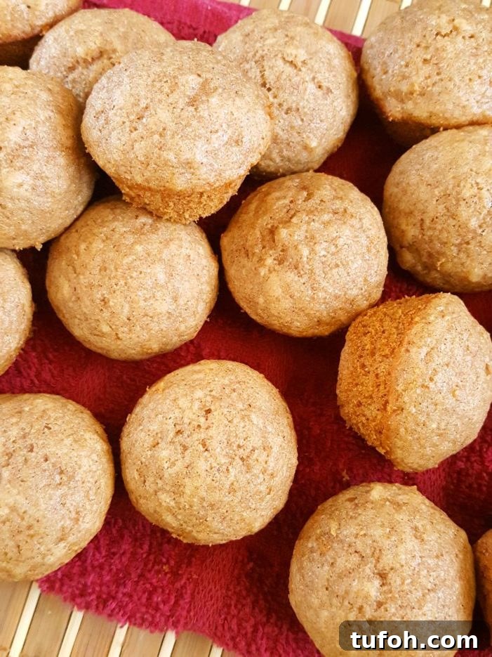 Toddler-Friendly Mini Applesauce Muffins Recipe 4 Mini Healthy Applesauce Muffins (Toddler-Friendly) - Quick & easy to make. Made with oil, brown sugar, cinnamon, honey or maple syrup, and whole wheat flour. A healthy, clean eating breakfast or snack for kids, toddlers, and baby!