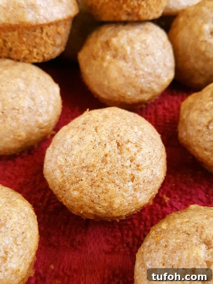 Toddler-Friendly Mini Applesauce Muffins Recipe 5 Mini Healthy Applesauce Muffins (Toddler-Friendly) - Quick & easy to make. Made with oil, brown sugar, cinnamon, honey or maple syrup, and whole wheat flour. A healthy, clean eating breakfast or snack for kids, toddlers, and baby!