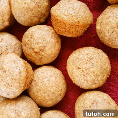 Toddler-Friendly Mini Applesauce Muffins Recipe 6 Mini Healthy Applesauce Muffins (Toddler-Friendly) - Quick & easy to make. Made with oil, brown sugar, cinnamon, honey or maple syrup, and whole wheat flour. A healthy, clean eating breakfast or snack for kids, toddlers, and baby!