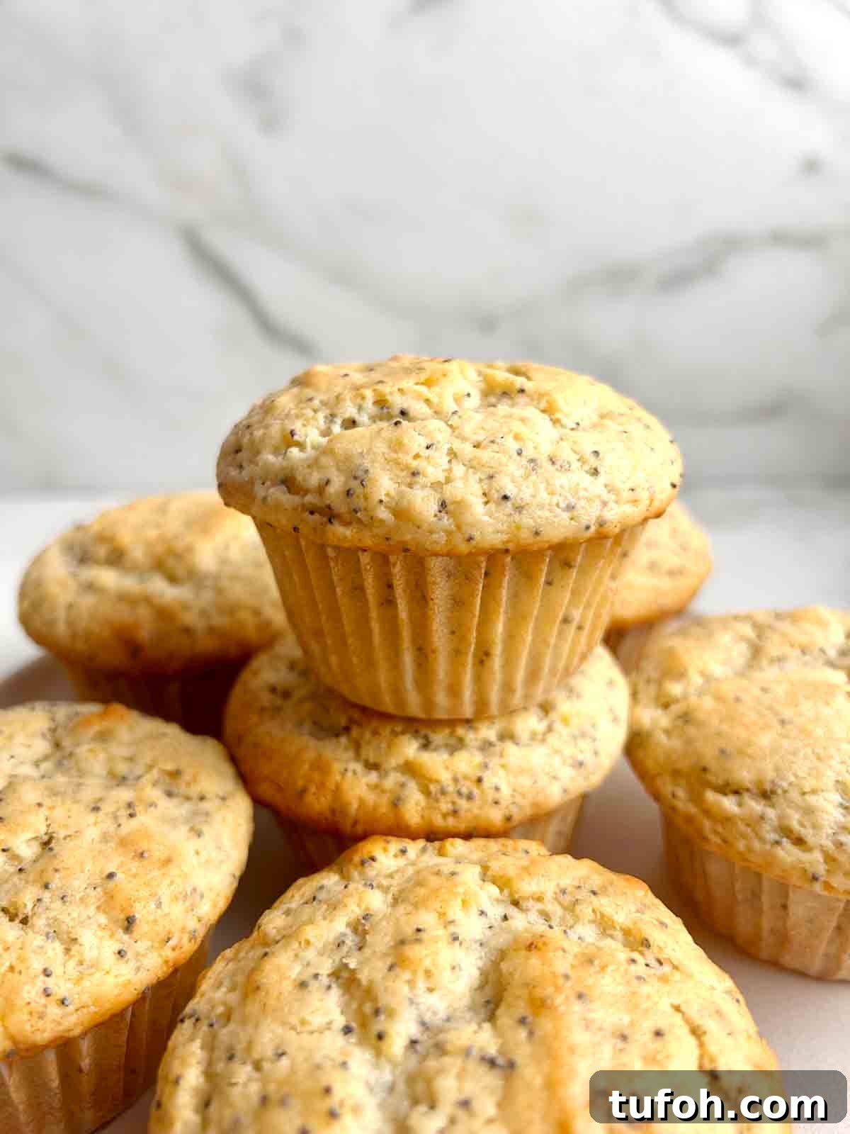 Lemon Poppy Seed Muffins Recipe: Moist, Zesty Muffins in 30 Minutes 2 close up of lemon poppy seed muffin.