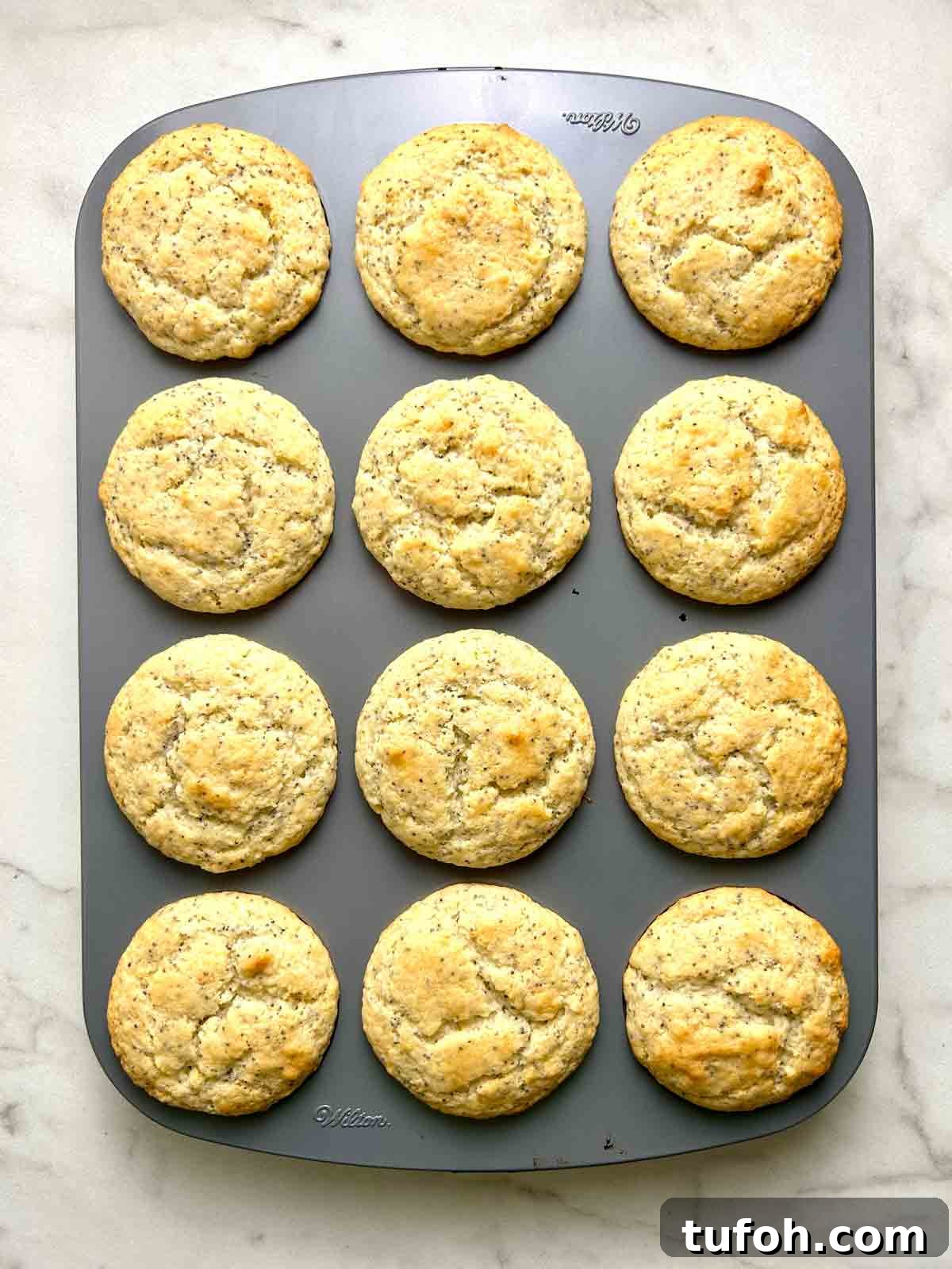 Lemon Poppy Seed Muffins Recipe: Moist, Zesty Muffins in 30 Minutes 8 muffins after baking; golden brown tops.
