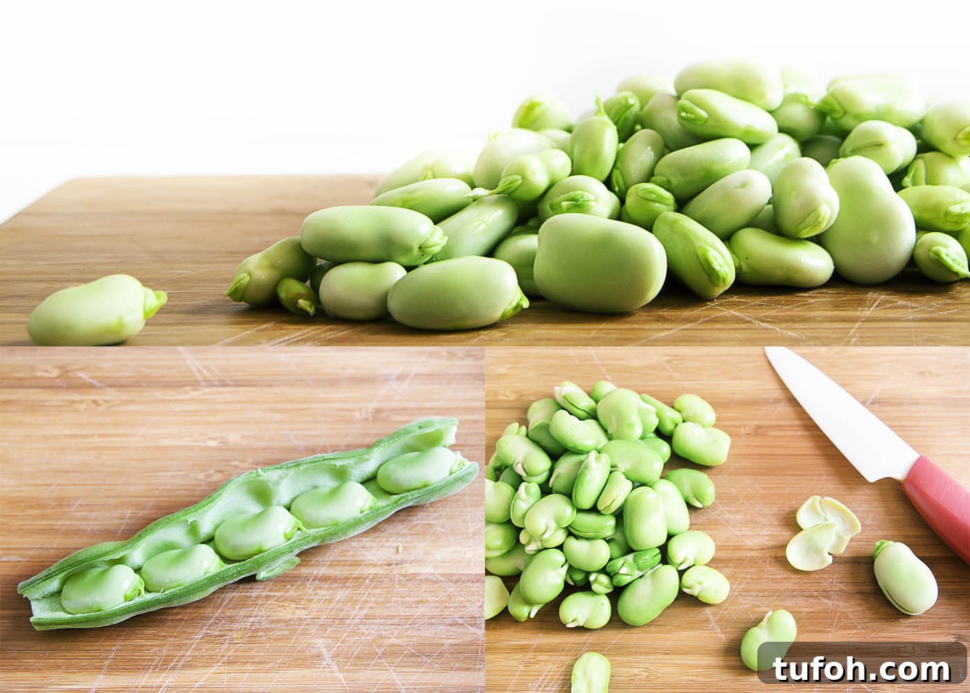 Summer Corn and Fava Bean Salad with Lemon Herb Dressing 3 Fresh Corn and Fava Bean Salad - This fresh and flavorful salad of corn and fava beans is a great way to take that tiny pile of fava beans which you extracted from a giant pile of bean pods and turn it into a satisfying side dish.
