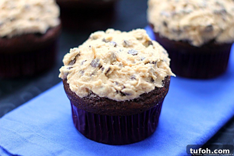 Chocolate Cupcakes with Chocolate Chip Cookie Dough Frosting