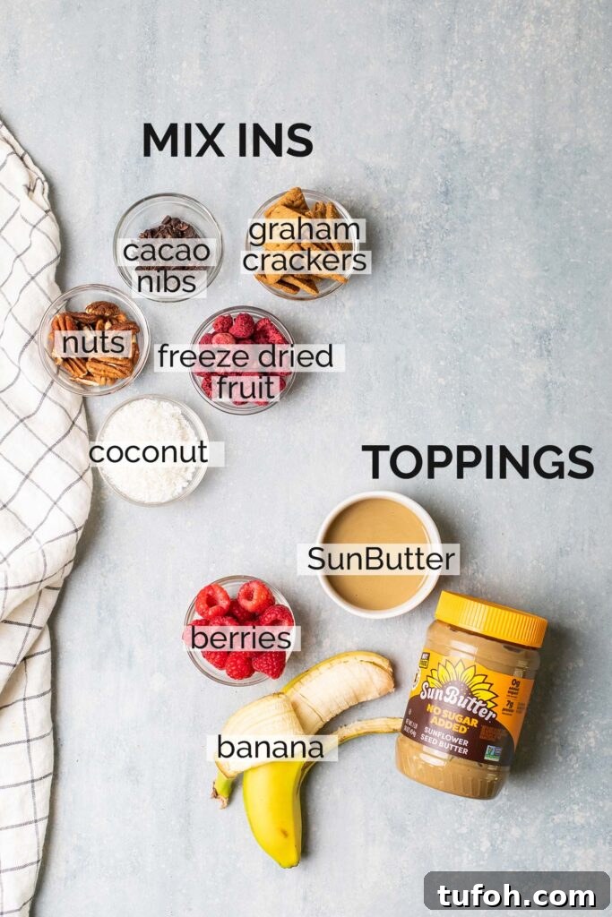Topping and mix-in suggestions for ninja creami protein ice cream.