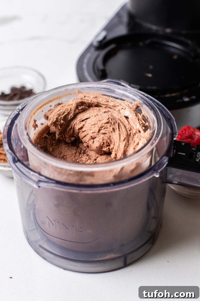 A thick chocolate ice cream shown in the pint container.