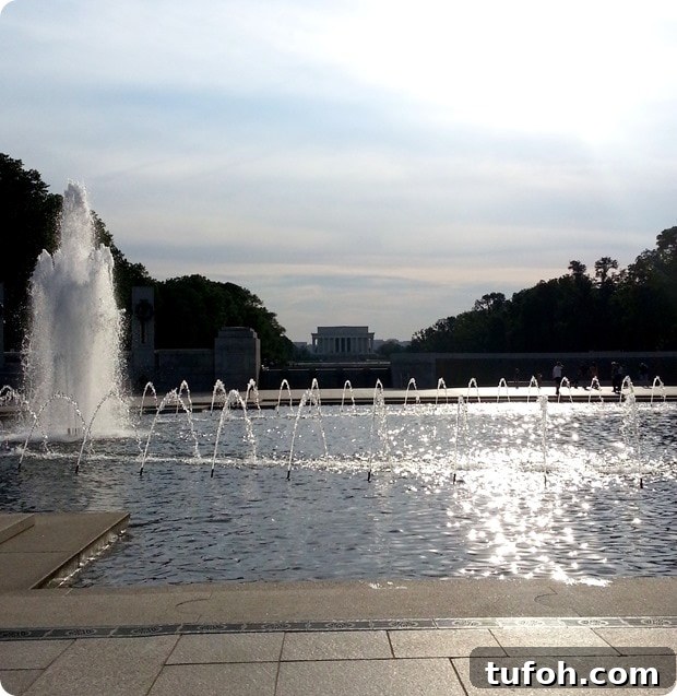 20140602_182226 20140602_182226