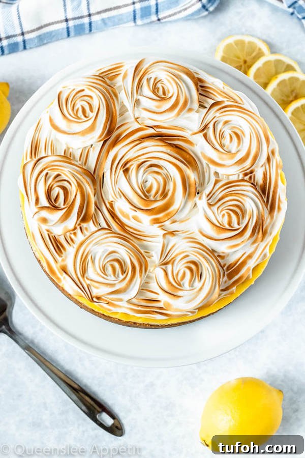 toasted meringue rosettes