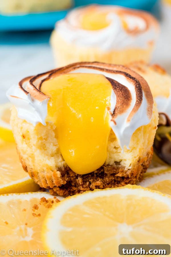 Mini Lemon Meringue Cheesecakes