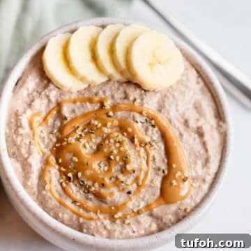 Peanut Butter Chocolate Overnight Oats Recipe for Creamy Mornings 12 Peanut Butter Chocolate Blended Overnight Oats