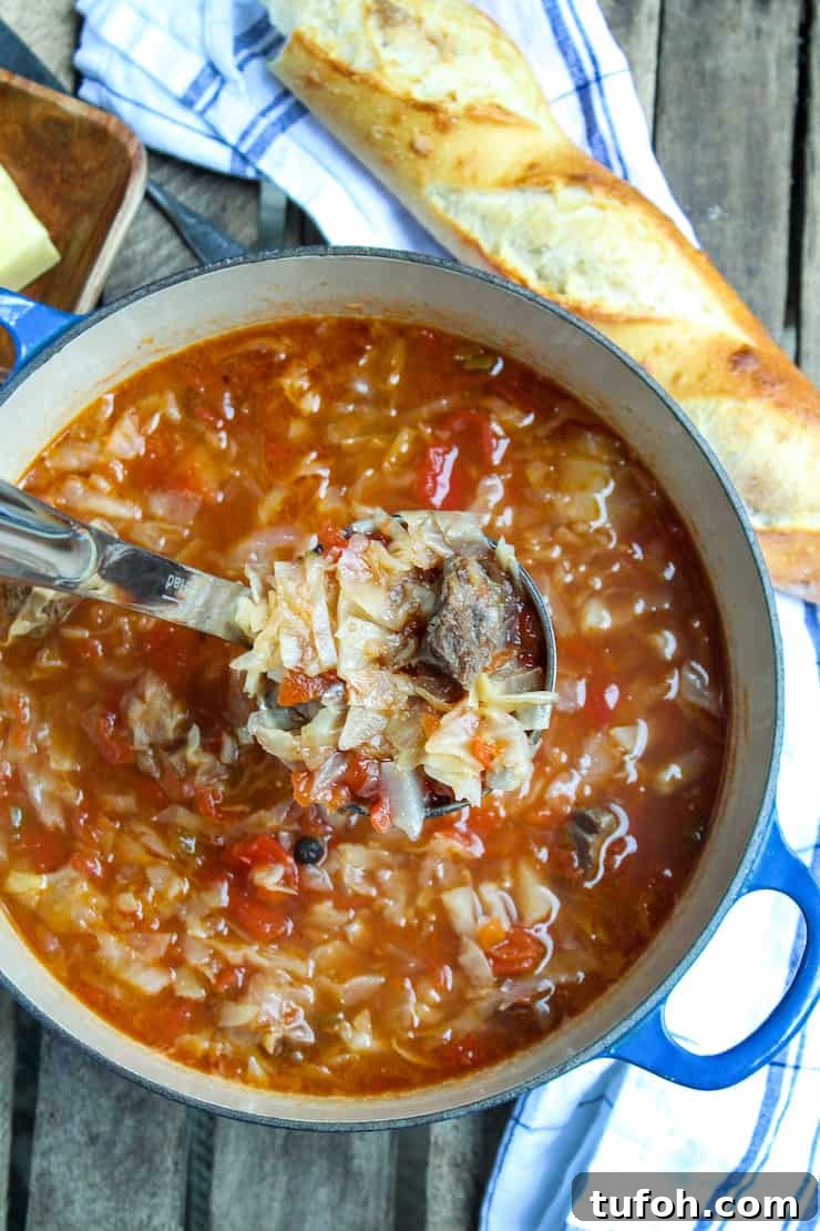 Sweet and Sour Beef and Cabbage Soup Recipe 2 Overhead photo of soup pot with ladle full of soup.