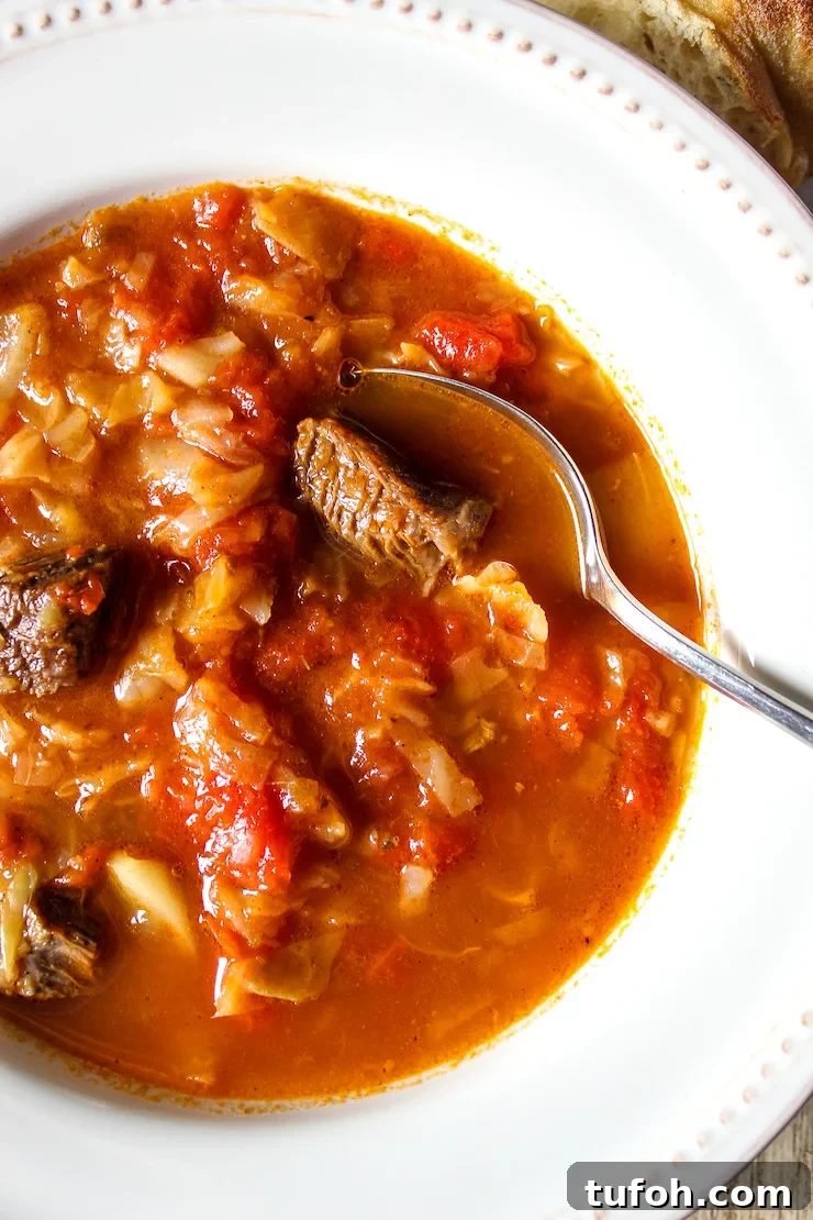 Sweet and Sour Beef and Cabbage Soup Recipe 6 Close up of cabbage soup in serving bowl with spoon.