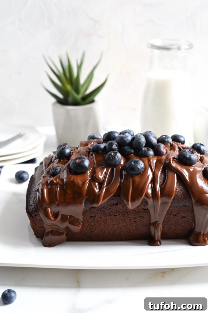 vegan chocolate and blueberry cake