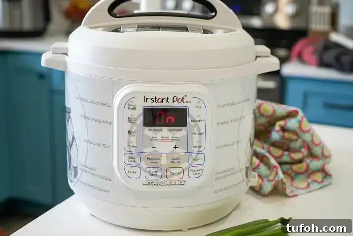 Instant Pot Frozen Meatballs with Marinara Sauce in 20 Minutes 2 Instant Pot on counter