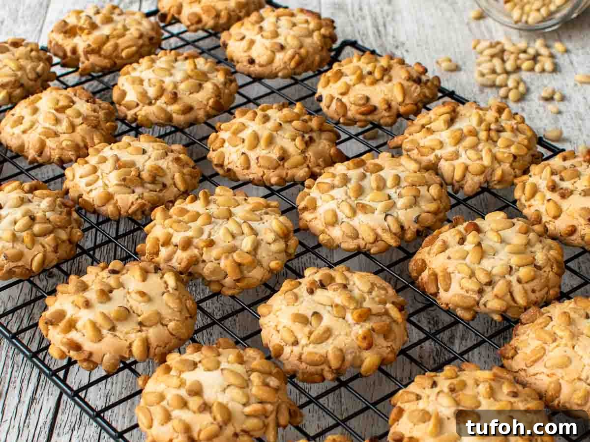 Pignoli Cookies: Classic Italian Almond Macaroon Recipe 8 Cookies covered in pine nuts on a black wire rack.