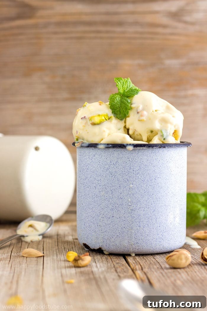 Mint & Pistachio Ice Cream Recipe: Creamy Homemade Delight 3 Fresh Mint & Pistachio Ice Cream ❤ | happyfoodstube.com