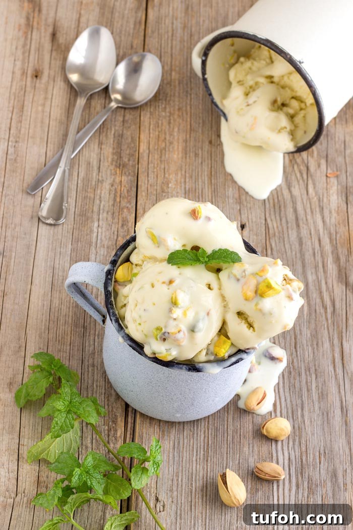 Mint & Pistachio Ice Cream Recipe: Creamy Homemade Delight 4 Easy Homemade Fresh Mint & Pistachio Ice Cream ❤ | happyfoodstube.com