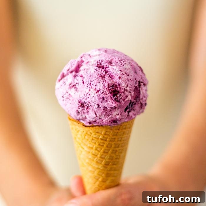 Mint & Pistachio Ice Cream Recipe: Creamy Homemade Delight 6 Best Homemade Blueberry Ice Cream
