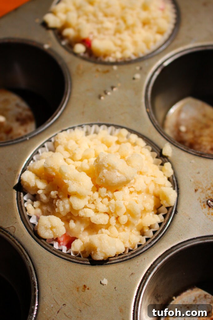 Strawberry Rhubarb Streusel Muffins with Sour Cream 11 img 39365 10