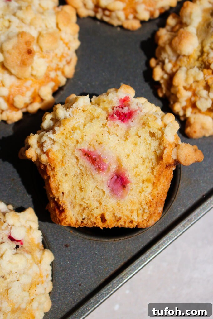 Strawberry Rhubarb Streusel Muffins with Sour Cream 12 img 39365 11
