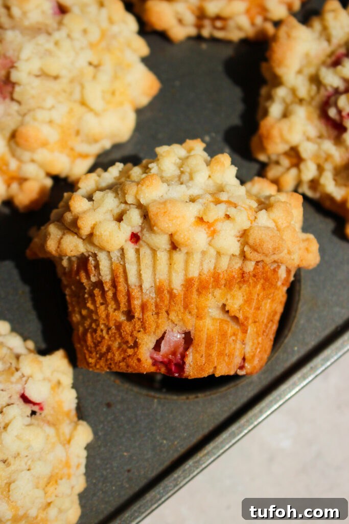 Strawberry Rhubarb Streusel Muffins with Sour Cream 13 img 39365 12