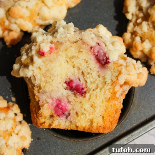Strawberry Rhubarb Streusel Muffins with Sour Cream 18 img 39365 17