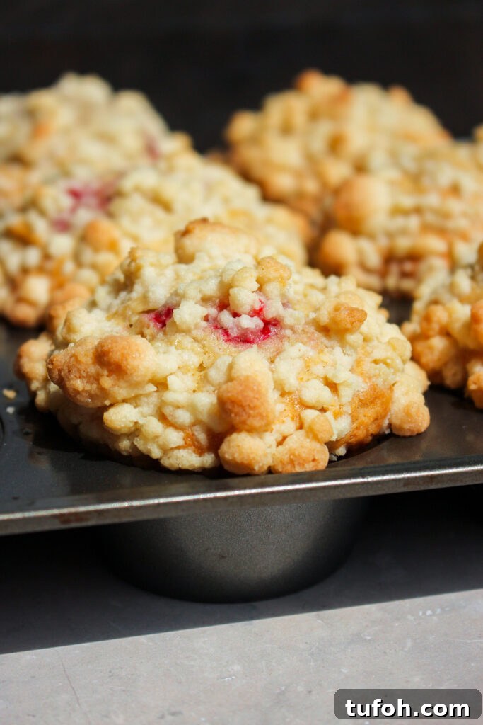 Strawberry Rhubarb Streusel Muffins with Sour Cream 3 img 39365 2