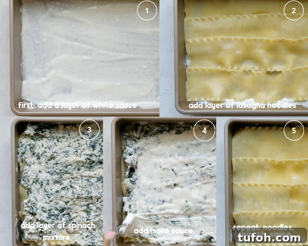 step by step photos of assembling a lasagna