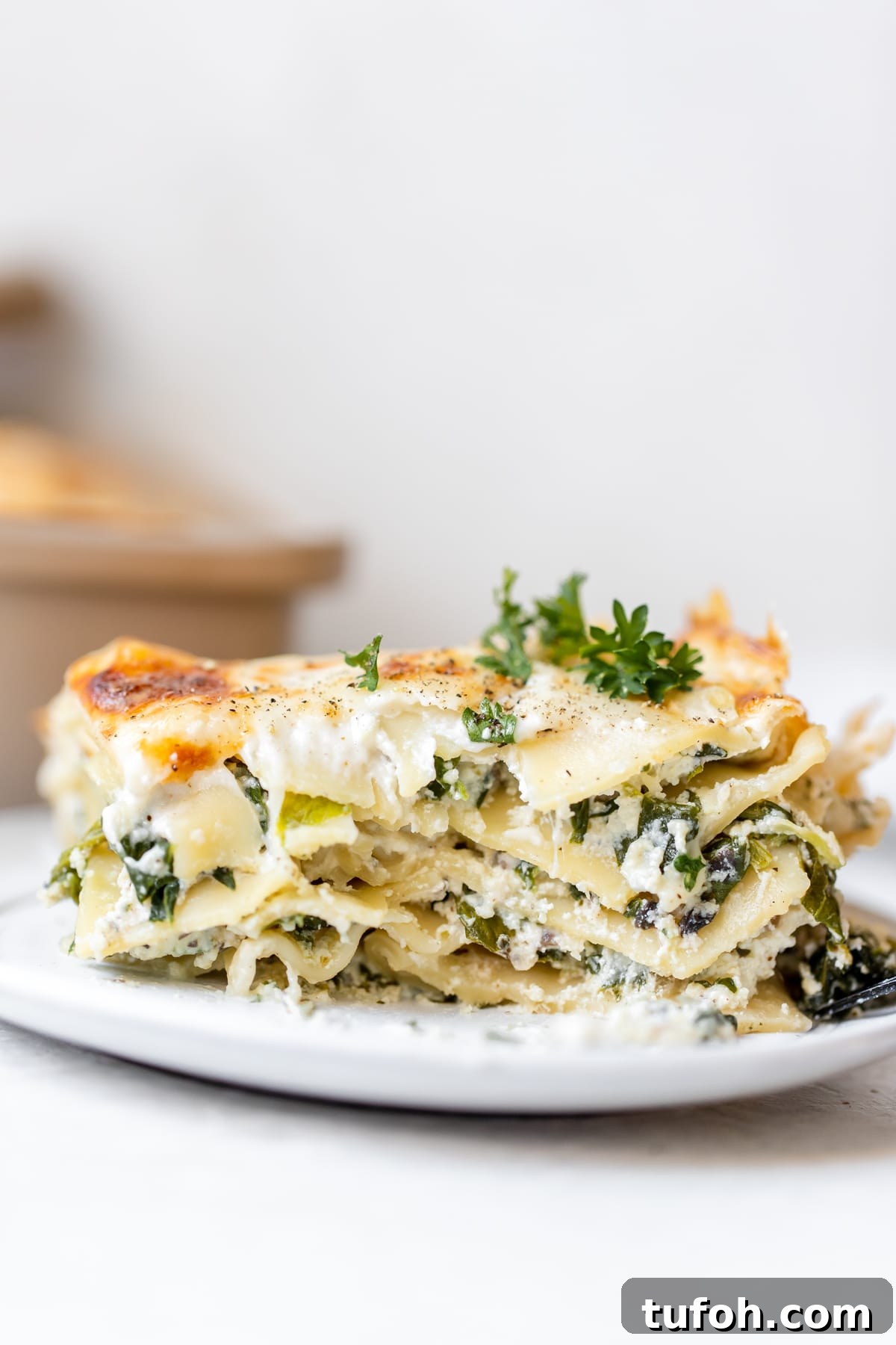 lasagna on a white plate