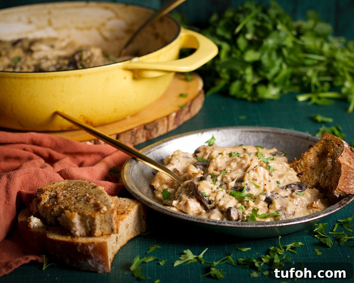 Creamy Mushroom Chicken with Parmesan Rice Bowl 17 A plate of creamy mushroom chicken and rice on a table with a couple of slices of toasted bread near by.