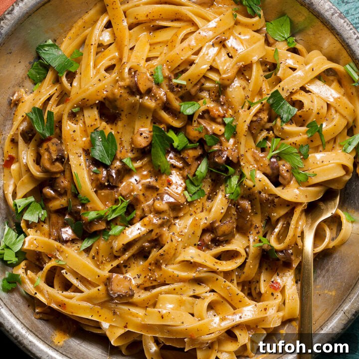 A plate full of pasta coated in creamy mushroom ragu sauce.