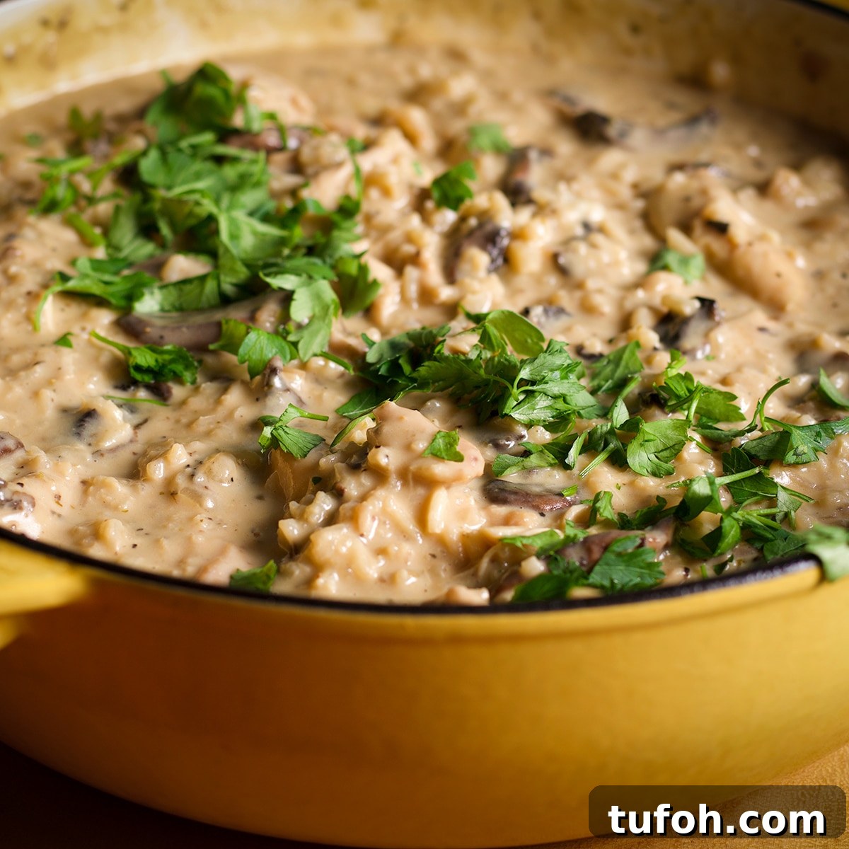 Creamy Mushroom Chicken with Parmesan Rice Bowl 5 A pan filled with creamy mushroom chicken and rice sprinkled with some chopped fresh parsley.
