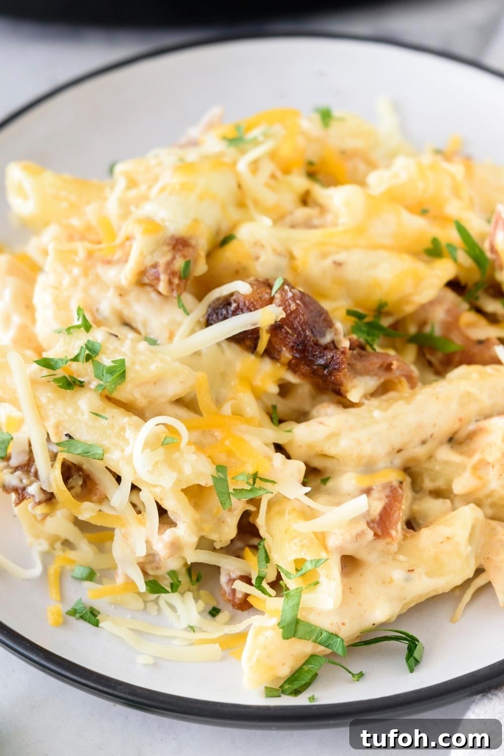 A plate with a portion of chicken alfredo casserole.