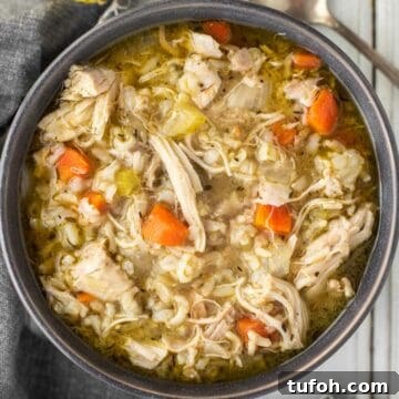 overhead shot of Instant Pot chicken and rice soup in grey bowl